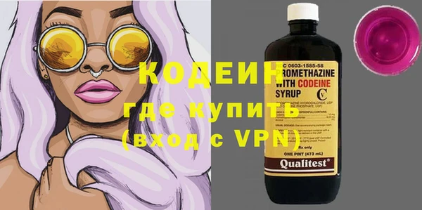 apvp Каменка