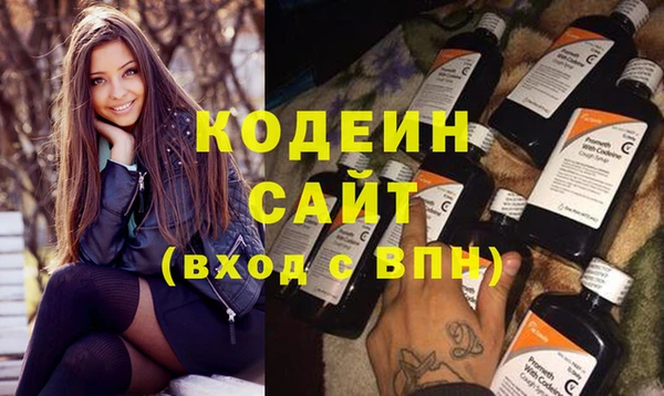 apvp Каменка