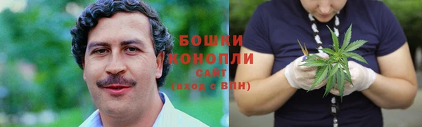 apvp Каменка