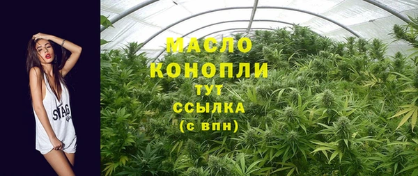apvp Каменка