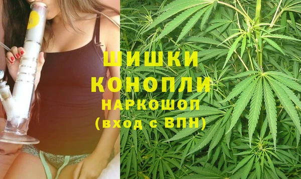 apvp Каменка