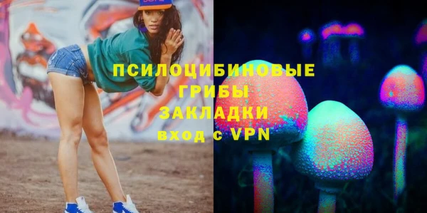 альфа пвп Каменногорск