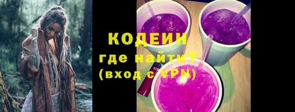 apvp Каменка